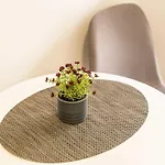 Apartman Argenta Dubrovnik